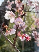 500 x 667 x 56,439�o�C�g