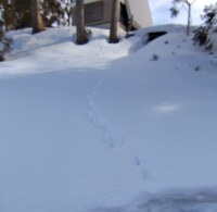 1469 x 1430 x 123,294�o�C�g �����̉摜�͑傫���̂ŕʉ�ʂŕ\�����܂���