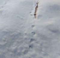 1291 x 1261 x 118,155�o�C�g �����̉摜�͑傫���̂ŕʉ�ʂŕ\�����܂���