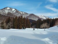 933 x 699 x 116,010�o�C�g