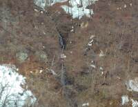 1073 x 832 x 117,396バイト <この画像は大きいので別画面で表示します>