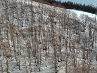 597 x 447 x 118,403バイト