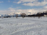 909 x 681 x 114,026�o�C�g