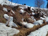 625 x 468 x 118,372�o�C�g