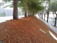 536 x 402 x 118,849�o�C�g