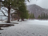 674 x 505 x 111,097�o�C�g