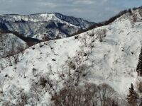 781 x 585 x 118,352�o�C�g