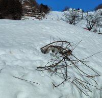 735 x 704 x 119,792�o�C�g