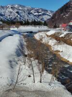 626 x 838 x 117,405�o�C�g �����̉摜�͑傫���̂ŕʉ�ʂŕ\�����܂���