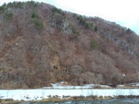 644 x 483 x 118,896�o�C�g