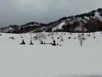 1179 x 884 x 123,089�o�C�g �����̉摜�͑傫���̂ŕʉ�ʂŕ\�����܂���