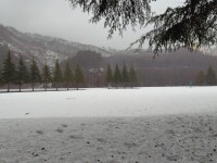 761 x 570 x 120,335�o�C�g