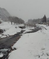 817 x 983 x 122,011�o�C�g �����̉摜�͑傫���̂ŕʉ�ʂŕ\�����܂���