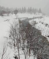 708 x 844 x 118,691�o�C�g �����̉摜�͑傫���̂ŕʉ�ʂŕ\�����܂���