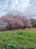 500 x 667 x 98,812�o�C�g