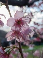 500 x 667 x 50,093�o�C�g