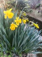 1108 x 1477 x 235,430�o�C�g �����̉摜�͑傫���̂ŕʉ�ʂŕ\�����܂���