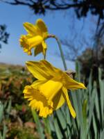 1108 x 1477 x 115,984�o�C�g �����̉摜�͑傫���̂ŕʉ�ʂŕ\�����܂���