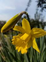 1108 x 1477 x 88,523�o�C�g �����̉摜�͑傫���̂ŕʉ�ʂŕ\�����܂���