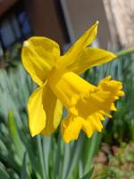 1108 x 1477 x 97,619�o�C�g �����̉摜�͑傫���̂ŕʉ�ʂŕ\�����܂���