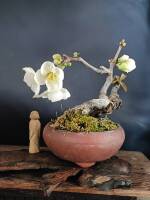 1108 x 1477 x 129,740�o�C�g �����̉摜�͑傫���̂ŕʉ�ʂŕ\�����܂���