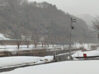 831 x 623 x 121,371�o�C�g