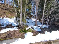 646 x 484 x 119,050�o�C�g