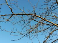 801 x 600 x 118,228�o�C�g