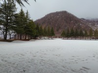 788 x 591 x 122,341�o�C�g