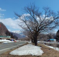 620 x 598 x 119,429�o�C�g