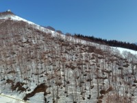 625 x 468 x 119,838�o�C�g