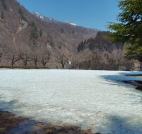 776 x 734 x 124,231�o�C�g