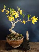 1108 x 1477 x 129,238�o�C�g �����̉摜�͑傫���̂ŕʉ�ʂŕ\�����܂���