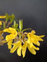 1108 x 1477 x 80,159�o�C�g �����̉摜�͑傫���̂ŕʉ�ʂŕ\�����܂���