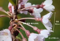 1560 x 1050 x 178,463�o�C�g �����̉摜�͑傫���̂ŕʉ�ʂŕ\�����܂���