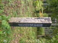 1024 x 768 x 444,162oCg