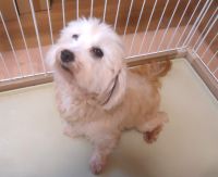 200 x 163 x 7,233 bytes