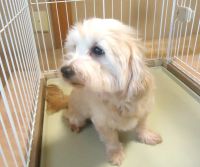 200 x 167 x 8,575 bytes