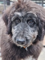 1108 x 1477 x 368,394oCg ̉摜͑傫̂ŕʉʂŕ\܂