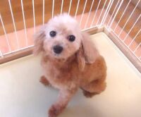 500 x 416 x 29,586�o�C�g