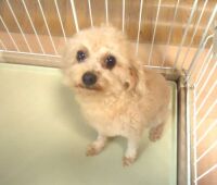 500 x 426 x 28,935�o�C�g