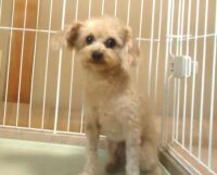 500 x 402 x 29,583�o�C�g