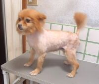 500 x 426 x 25,600�o�C�g