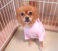 500 x 437 x 31,915�o�C�g