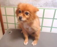 500 x 417 x 27,562�o�C�g