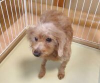 500 x 415 x 30,400�o�C�g