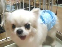 500 x 379 x 27,294�o�C�g