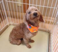 500 x 453 x 35,937�o�C�g