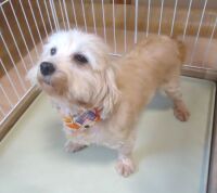 500 x 445 x 29,181�o�C�g