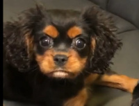 314 x 240 x 24,839�o�C�g